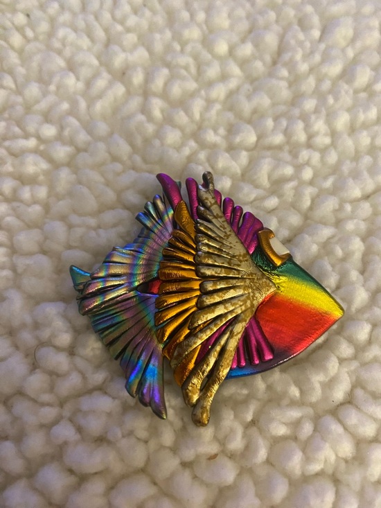 Jewelry - Multicolor Rainbow Fish Brooch with Gold Accent